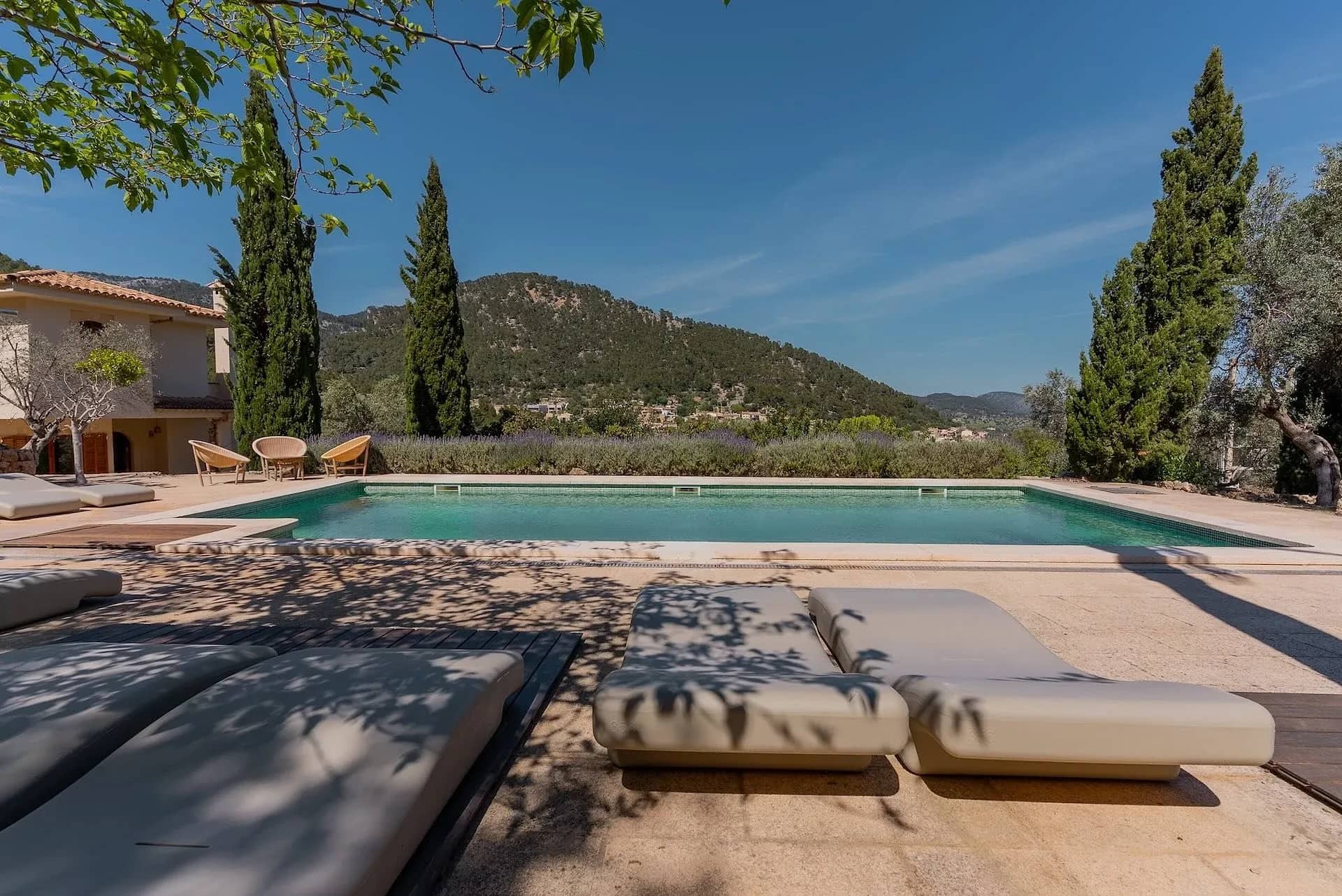 Finca Eva — photo 3